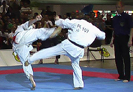 � ���������������� ������ ������������ �� ����������� ������