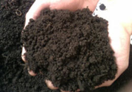 ������ ��������� ��������� ��������� ���� �� �������������� �����