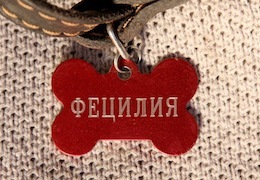 ������ ������ � ���� ��������������� ���