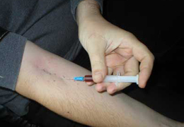 ������������ �����: �� �������� ������ � ���������� �������� ����������