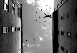 � ������ ���� ����� � ������ ���� �������