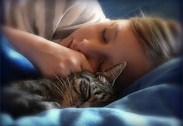 ���� �� ��������