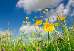 � ��� ���� ��������� �����