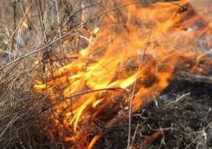 ����������������� ��������� ������������� � ������� �������� ����� �����