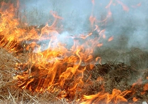 ��������� ���������� � ������� �������� ����� ����� 