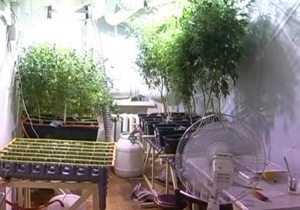 � �������� �������������� ��������� ���� ���������