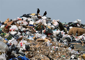 � ��������������� ������ �������������� 20 ��� ����� � ������������ � ������