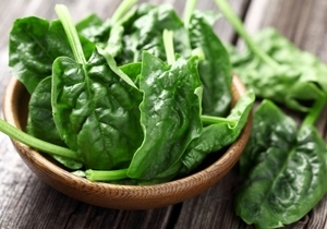 ����� ������������, ��� �������� ��������� �����������