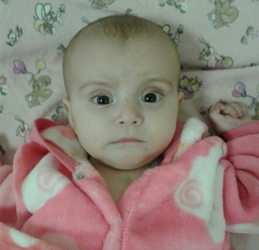 ���������� �������