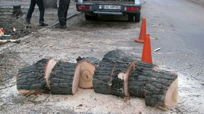 � ���'�������� ������ ������� ���������� ����������� �� �������� ����� �� ������� ����