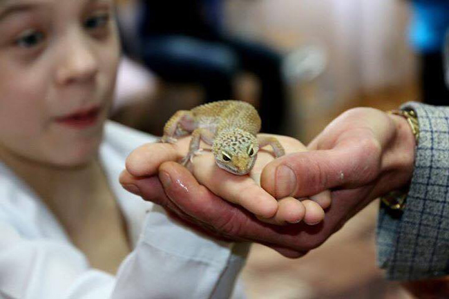 Для особливих дітей Дніпра влаштували безкоштовне шоу екзотичних тварин