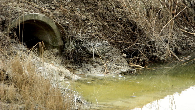 ��������� ��������� �� ���������� � ����������� � ��������