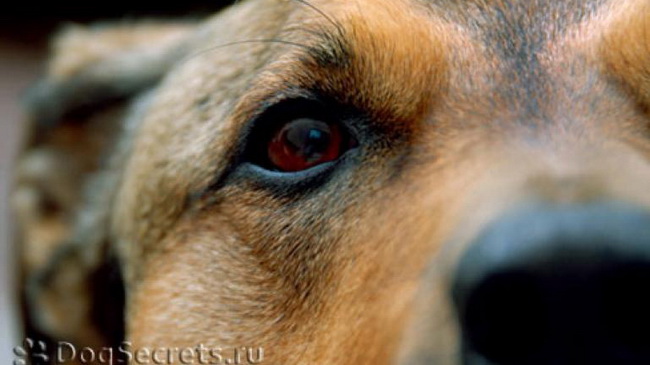 ����������� ���������� ������� ������ ������