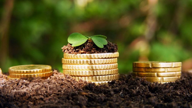 В Каменском установили ставку земельного налога