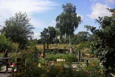 � ��������� �� ������ ������� �������� 4 ��� ������