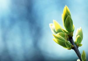 ��������� ����������, ����� � ������ ���������