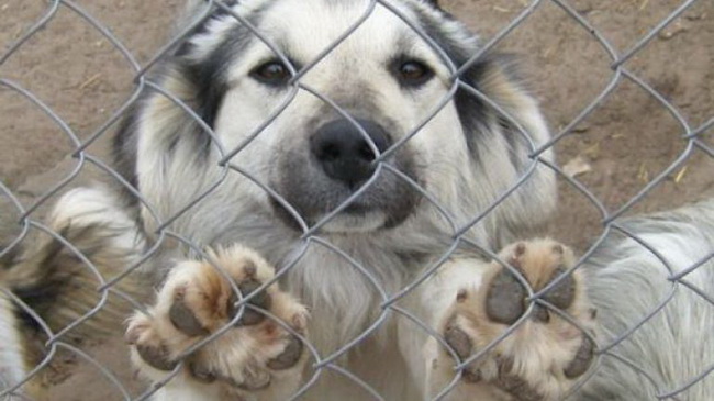 � ��������� ����� ����������� ��������� �����