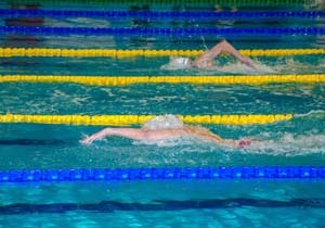 ������ ���������������� ��������� ���� ������� ������� �� ���������� �������