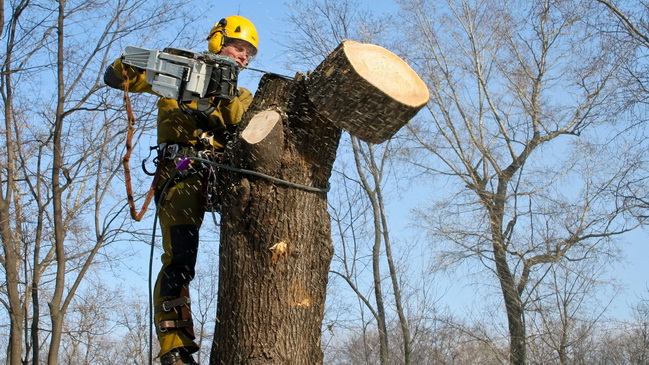 � ��������� ����������� ��������� �������