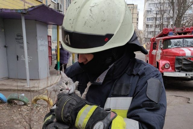 � ����� ����������� ���� ����������� �������� �������� ������� ����� �������