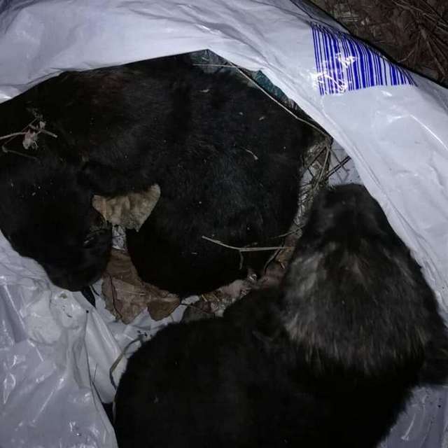 �������� � ����� � ��������� � ����: � ������ ������� ���� ������ �� ������ � ������� ����