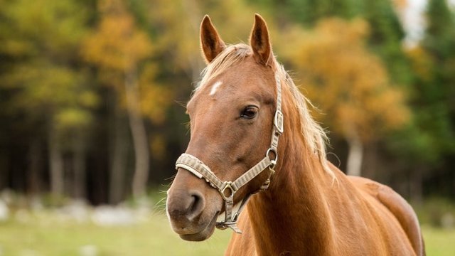 ����� ��� ����������: ��� ���������� ������� �� ����� ��������, ��� ������