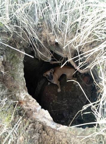 � ����� ����������� ���� ���������  ����� ������