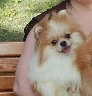 10 000 ������ ��������������: � ��������� ����������� ������