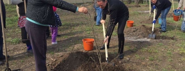 � ��������� ������� �������� �� ���������������