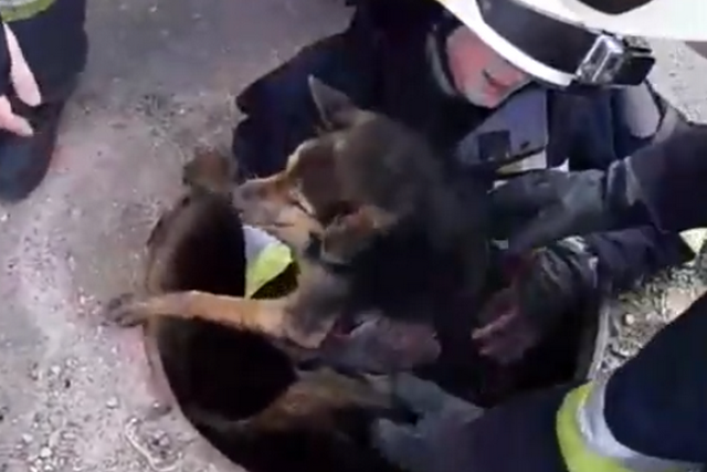 � ������ ��������� ���������� ������, ������� ����� � ���������������� �������