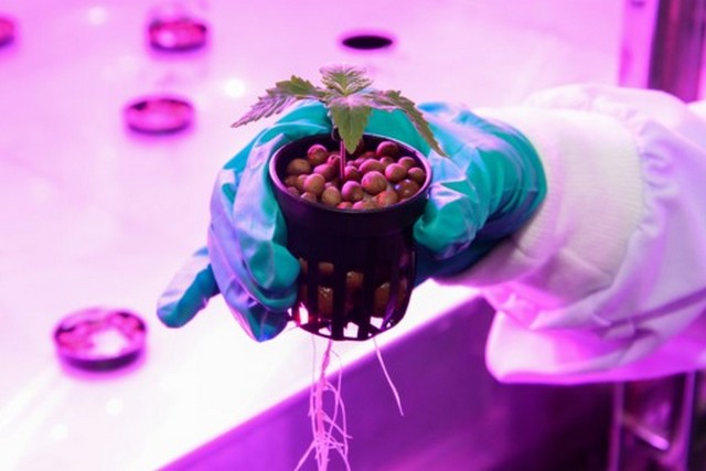 ����������� ����������� ���������: ��� ������ � ������ ��� ������ � �������