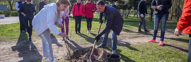 В Каменском на общегородском субботнике горожане смогут озеленить свои дворы
