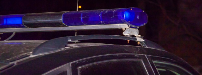 � ������ ���������� ���� 19-������� ����� � �������: ������������ ���� ����������