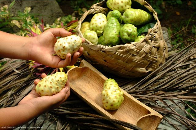 Сок нони: состав, свойства и способы употребления