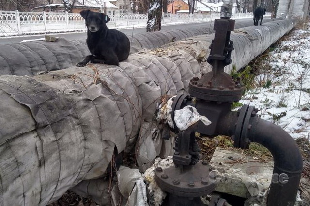 В этом году на программу установки счетчиков тепла в Каменском потратят почти 67 миллионов гривен