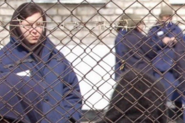 ���������� ���������� �� ���� ���� ������ 6 ��� �������� �� ��������