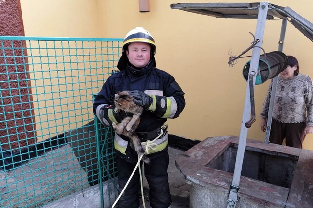 � ����� ������������� ��������� ����