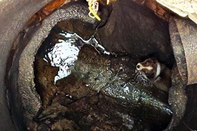 � ������ ����������� ���� ������ ���������� �����