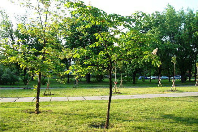 ���� � ��������� ���������� �� ��������������� ���������� �� �������� ������� ����������