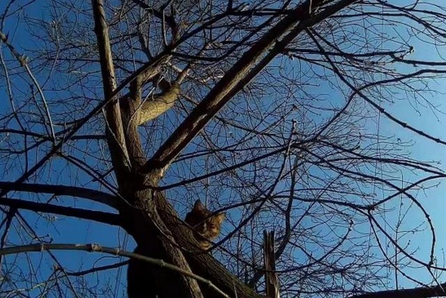 � ������ ������ ��������� ������� ����������� ���� ���������� � ������