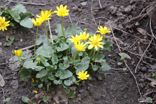 С завтрашнего дня начнется потепление