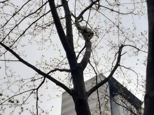 � ������ ��������� ���������� �������� ��������