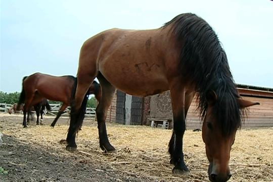 �� ��� ������ ������� ���������� ����������� � ���������� ���� ��������