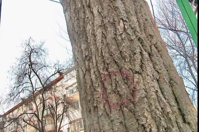 ������ ��������� ���� ����������� ���������� ���������