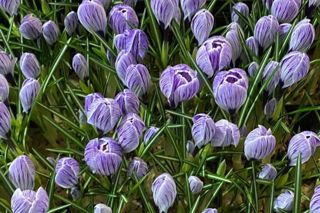 ��������� ���������������� �������� ��� �������� �������, ��������� ��� �������� ���������