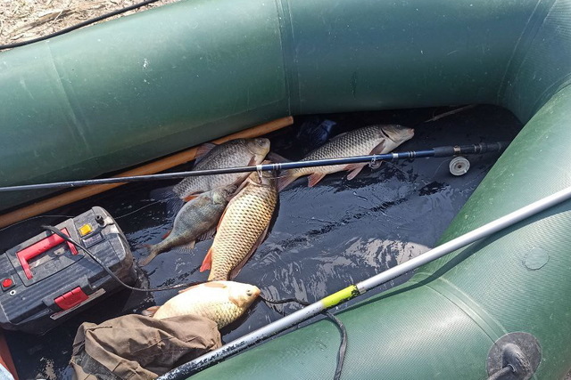 Водный патруль обнаружил рыбаков-браконьеров с электроудочкой и сетью