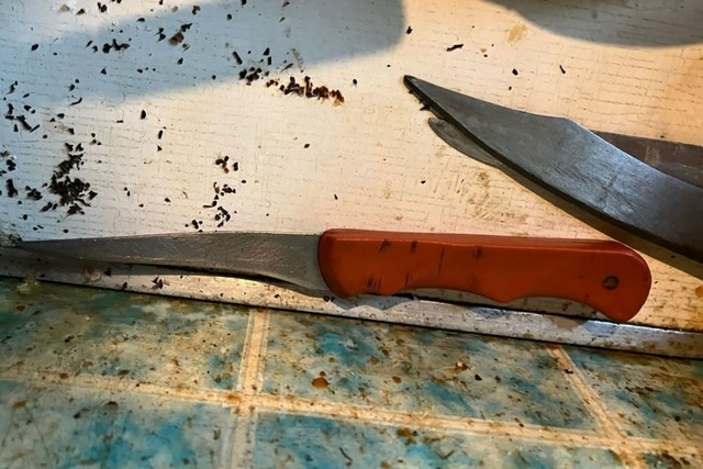 ��������� ������ ��������� 40-������ ������� �� ������� � ������� ���������