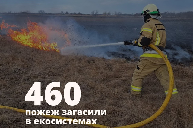 За неделю пожарные Днепропетровщины потушили 460 пожаров на открытой территории