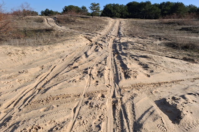 �� ������ ����� ������ ���������� �����!