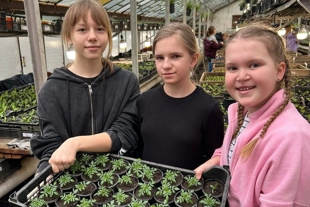 К озеленению города Самар привлекают школьников